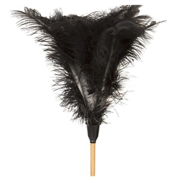 FEATHER DUSTER – Novawear